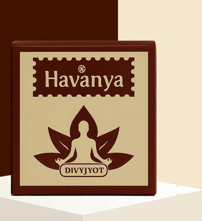 Havanya multi use (Diya + Dhoop Cup)