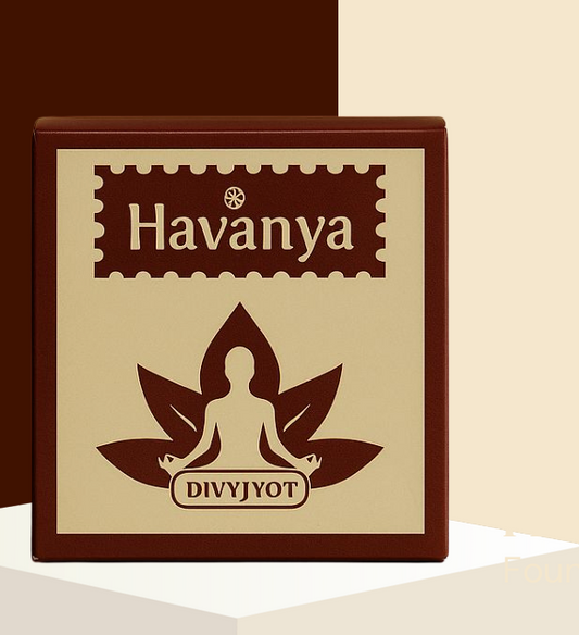 Havanya multi use (Diya + Dhoop Cup)